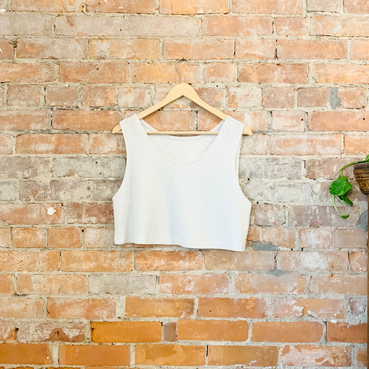 Oyster Shimmer Crop Top