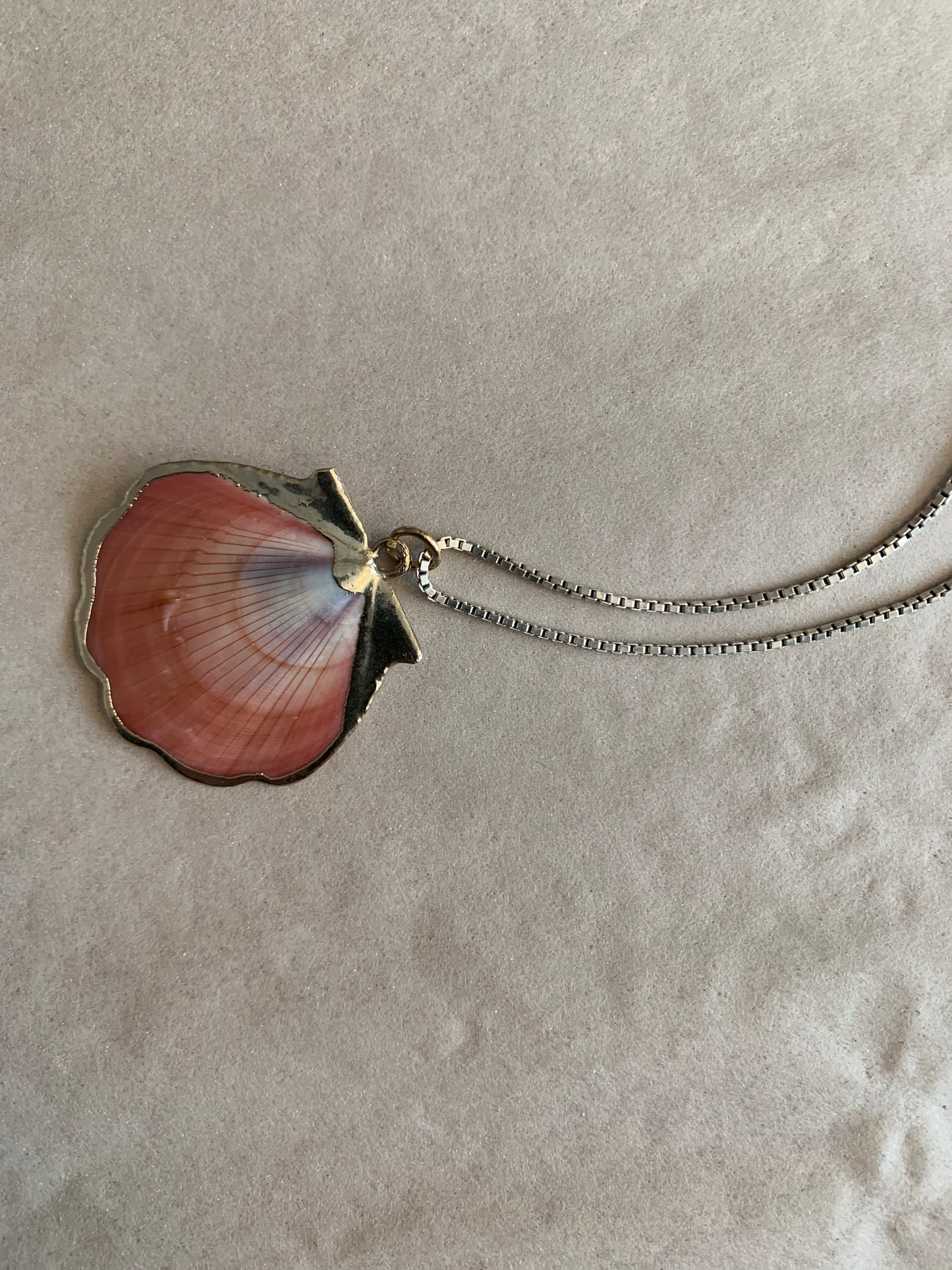 Scallop and Sterling Necklace