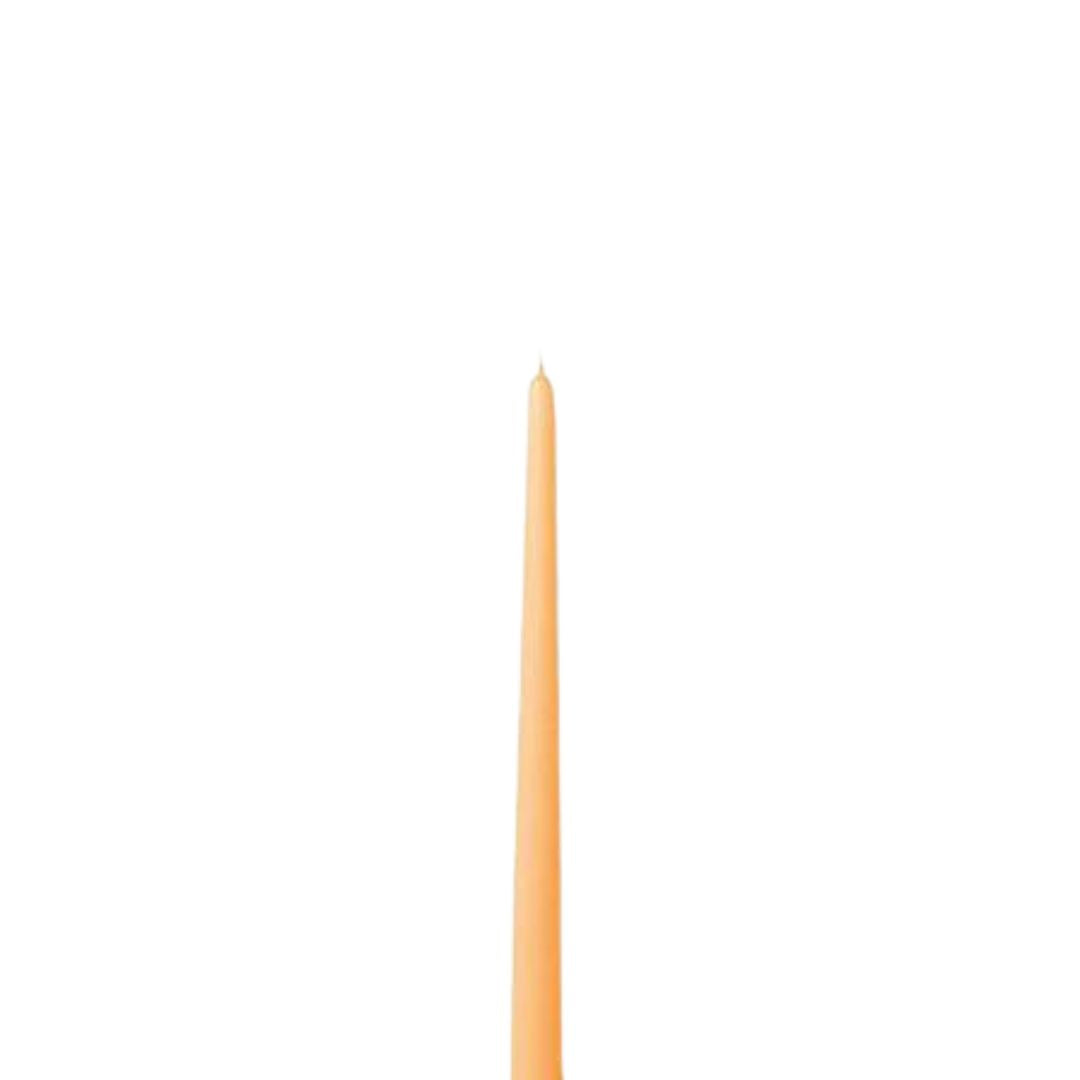 12" Taper Candle Pair
