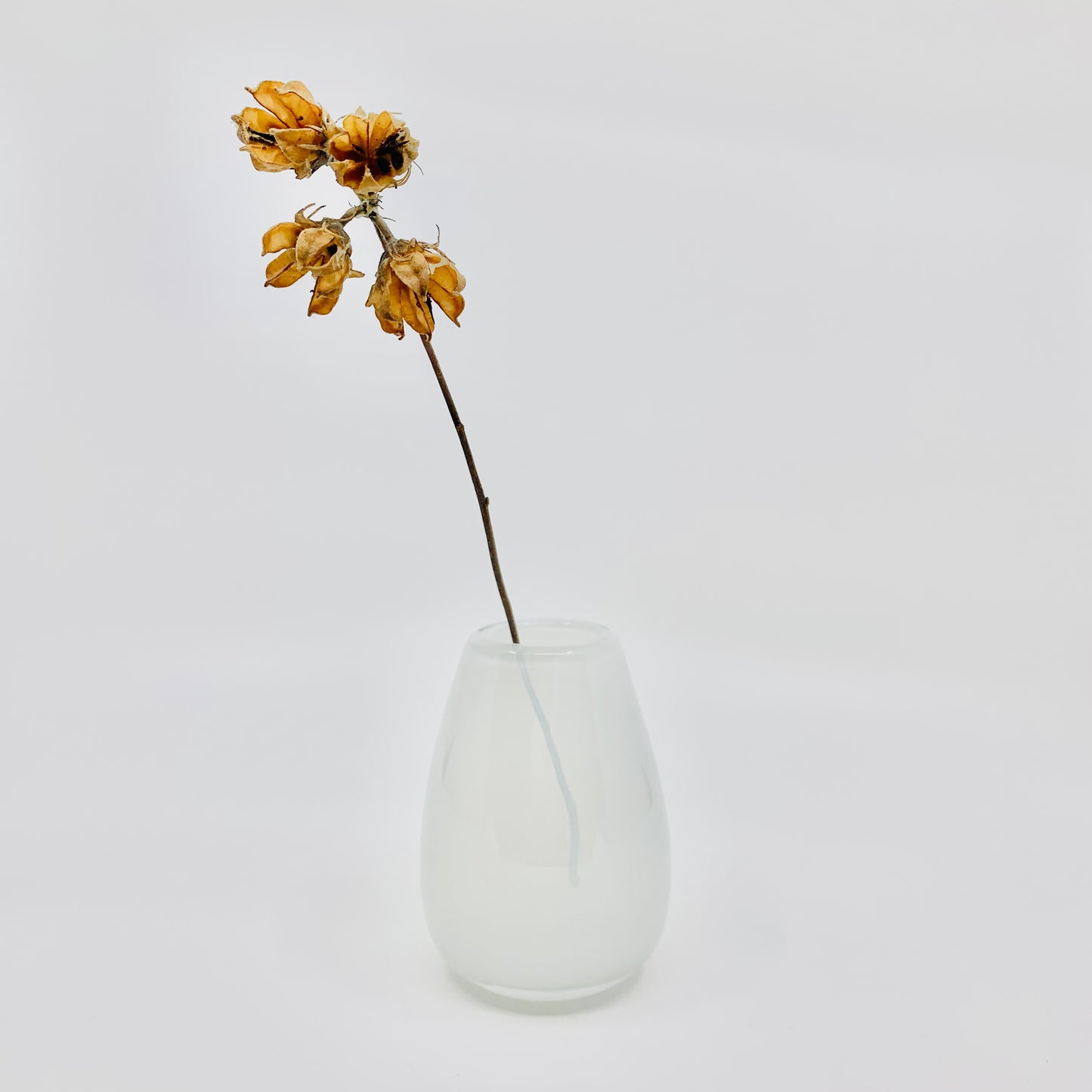 Cloud White Bud Vase