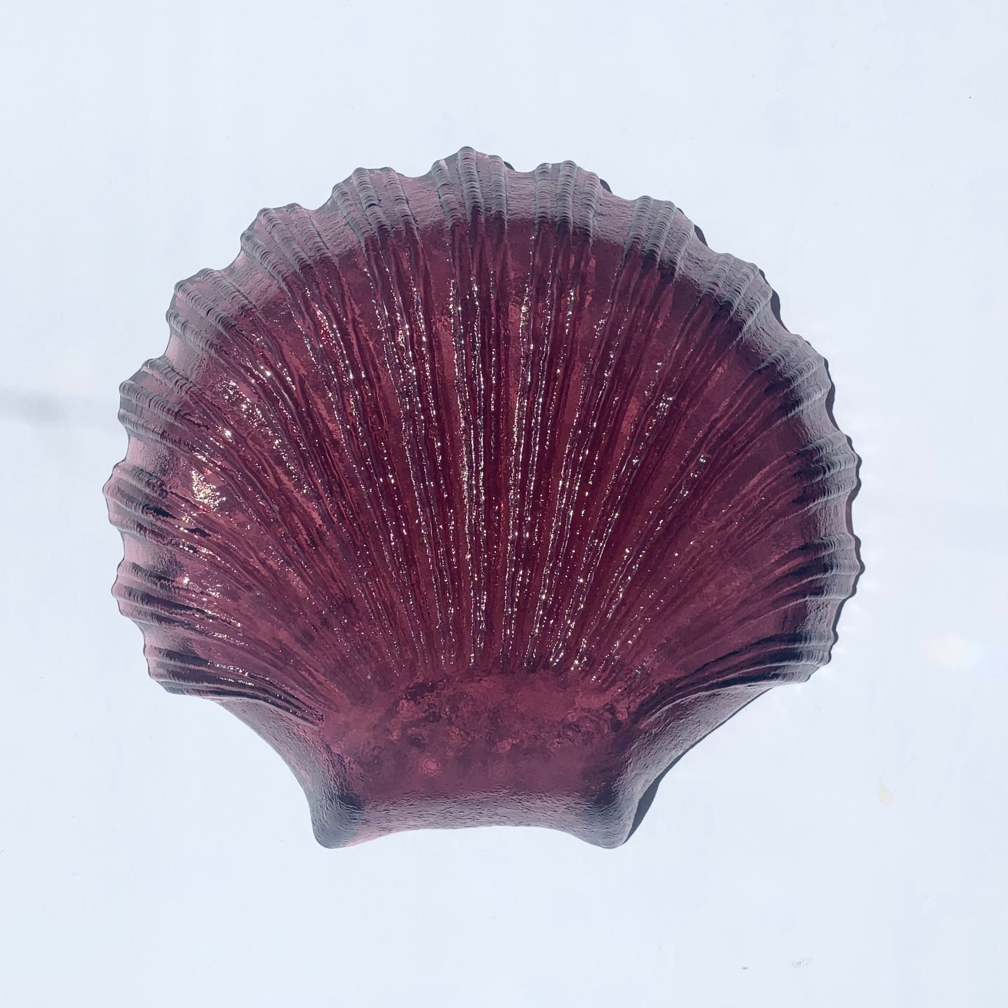 Glass Shell Plate